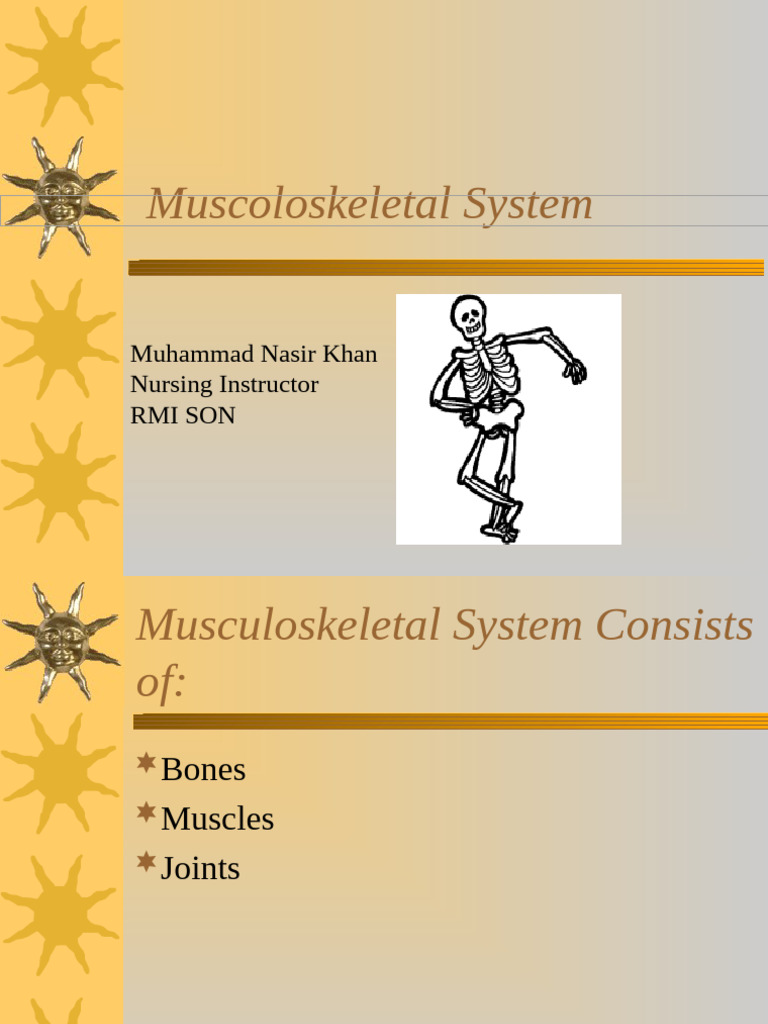 Overview of the Musculoskeletal System | PDF | Human Musculoskeletal ...