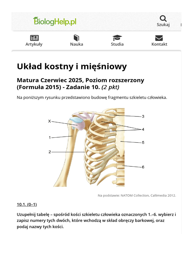 Układ kostny i mięśniowy | BiologHelp | PDF