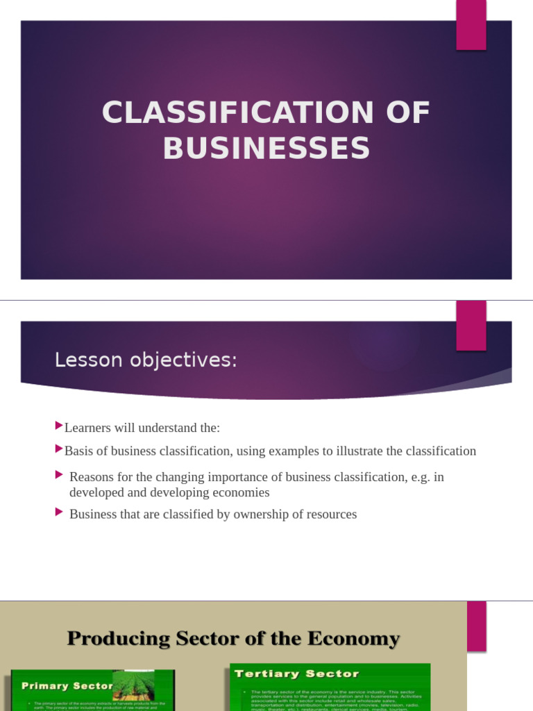 Business Classification Overview | PDF | Gross Domestic Product ...