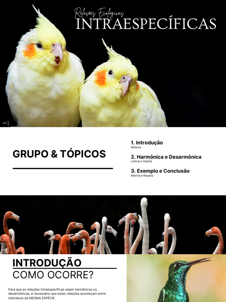 Relações Ecológicas Intraespecíficas | PDF | Biologia | Zoologia