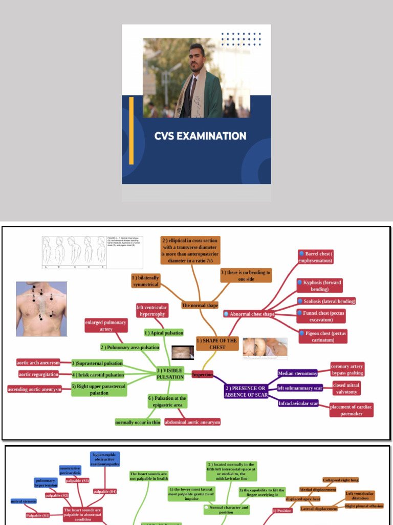 Cvs | PDF