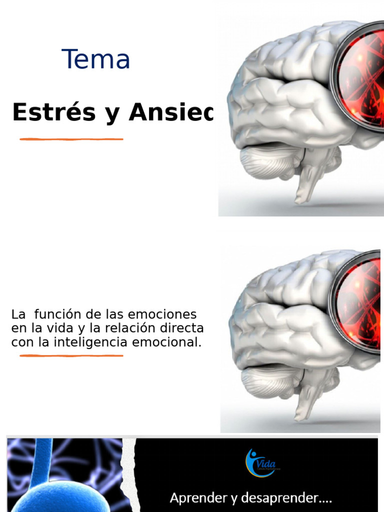 Estres y Ansiedad | PDF | Las emociones | Estrés (biología)