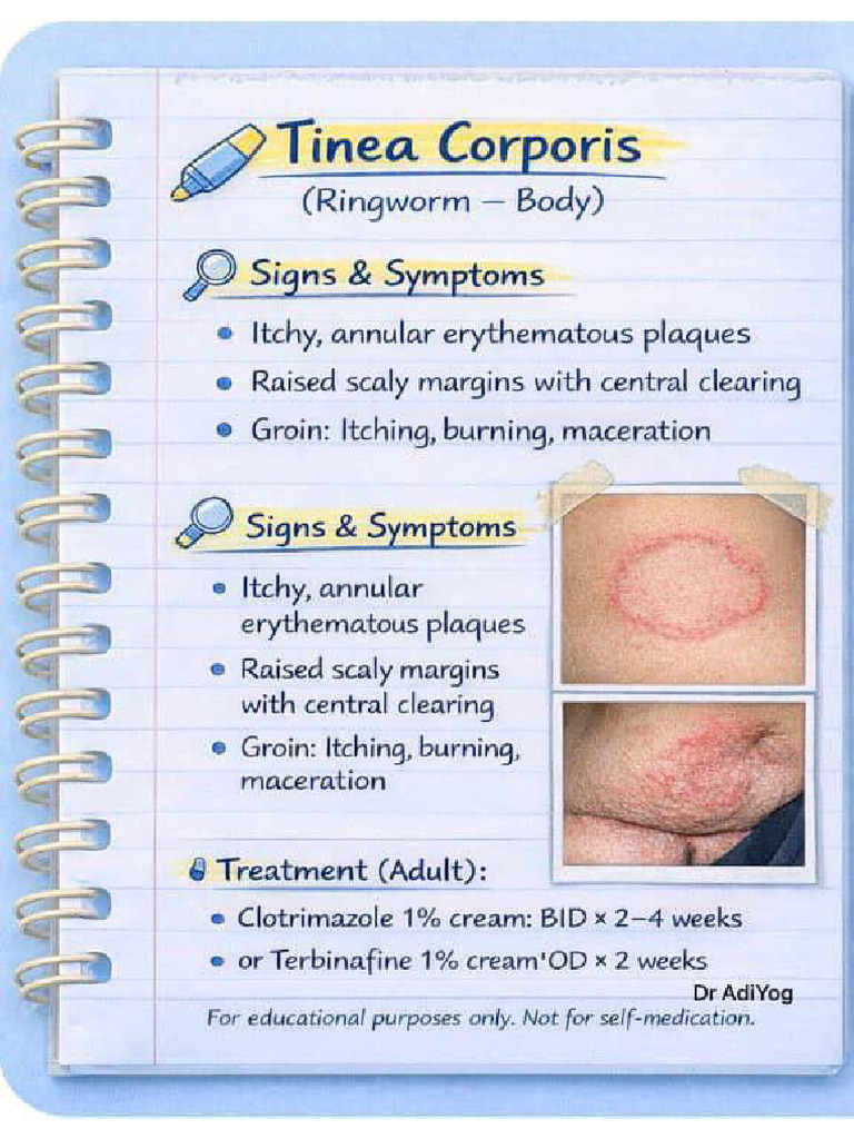 Skin Disease | PDF