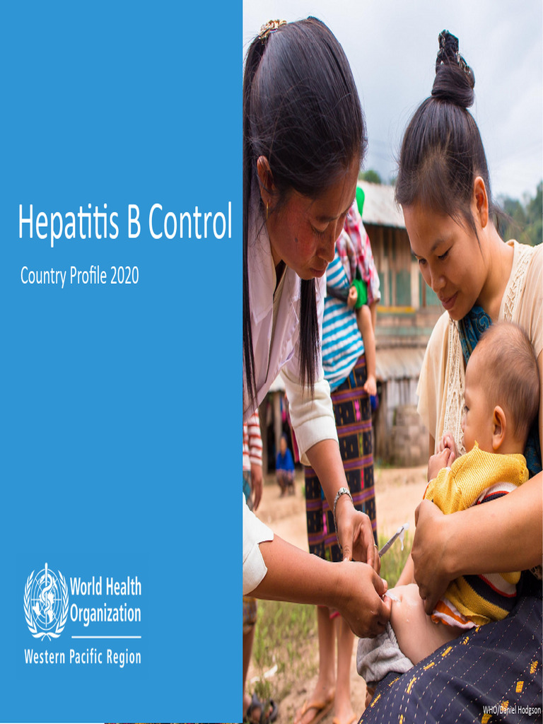 Hepatitis B Control Country Profile 2020 | PDF | Hepatitis B | Vaccines