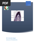Dental Pulp and Periradicular Biology | PDF | Periodontology