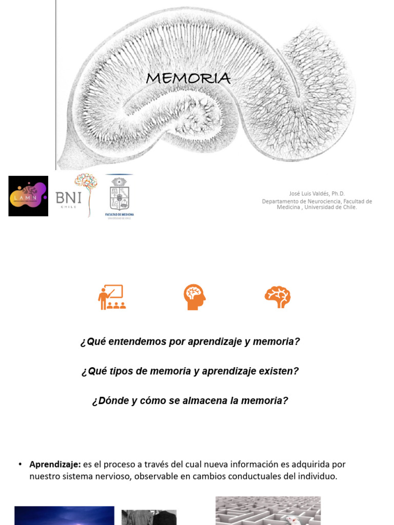 Aprendizaje y Memoria Fisio1 2S 2023 | PDF | Memoria | Aprendizaje
