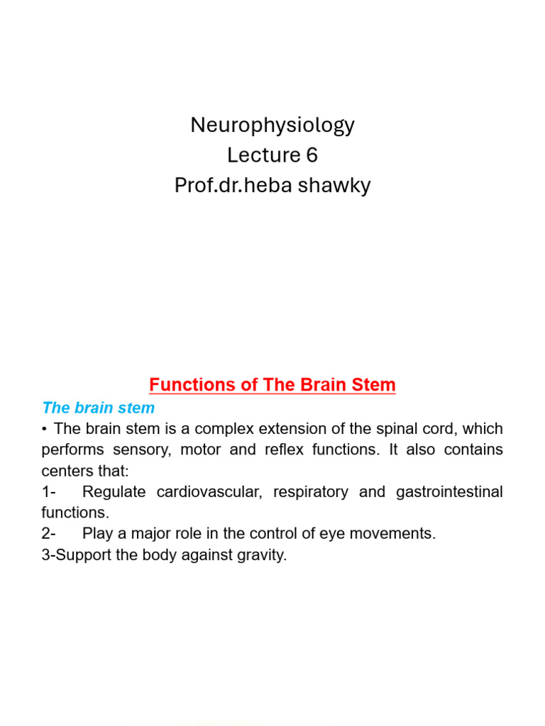 Brain Stem Functions and Arousal Mechanism | PDF | Brainstem | Brain