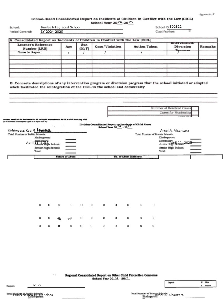 Tambo Integrated School SY 2024-2025 Report | PDF