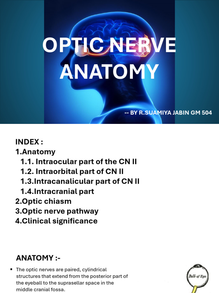 Optic Nerve Anatomy and Pathway Overview | PDF | Visual System | Retina
