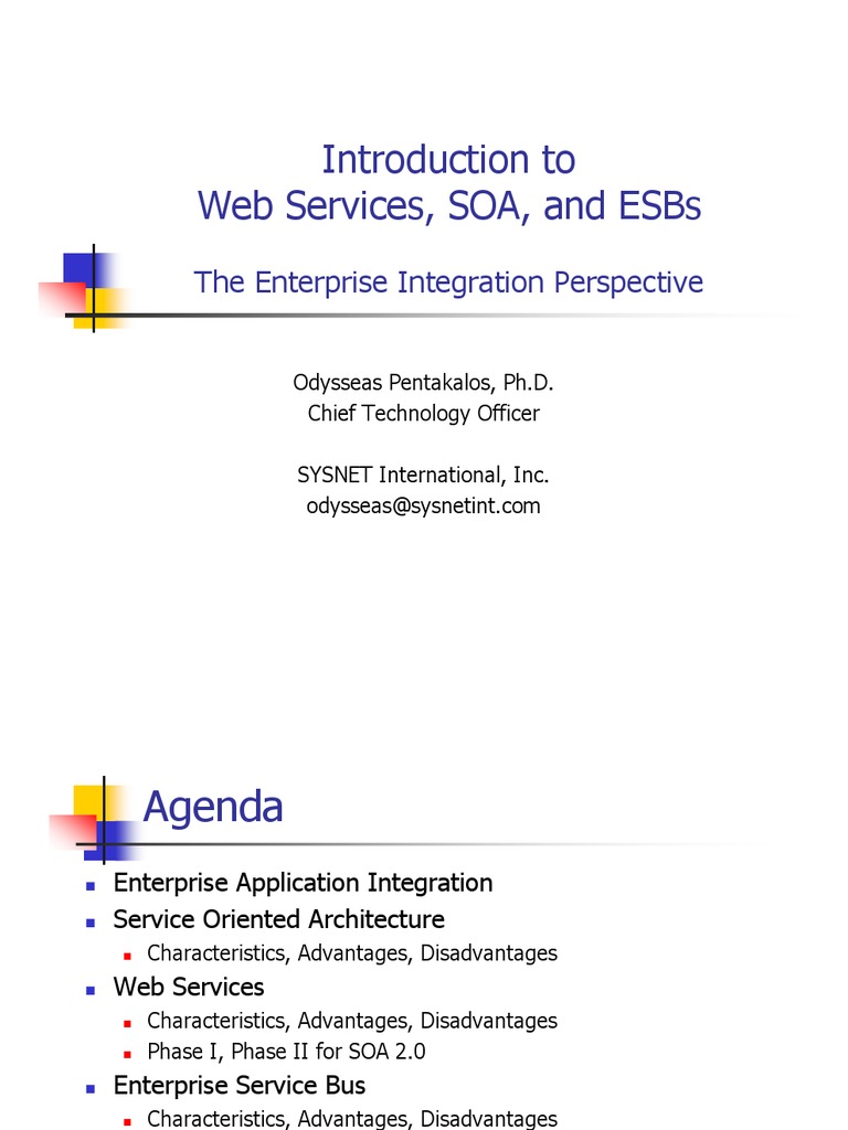 Web Services and SOA Integration Guide | PDF