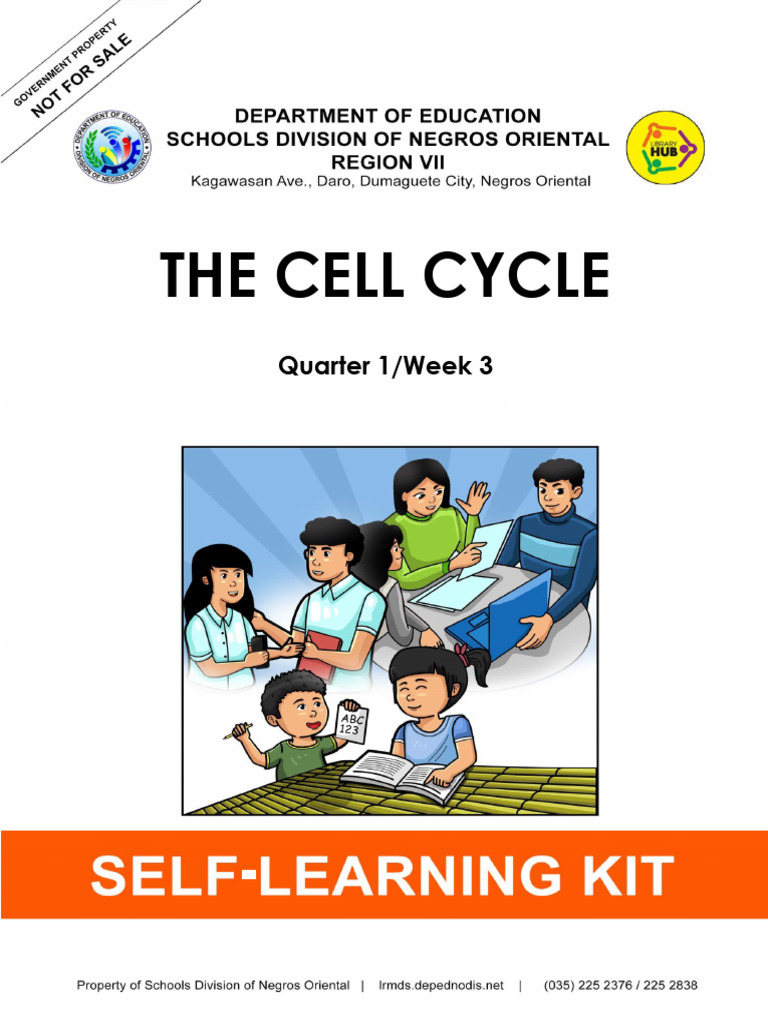 Understanding the Cell Cycle Phases | PDF | Mitosis | Cancer
