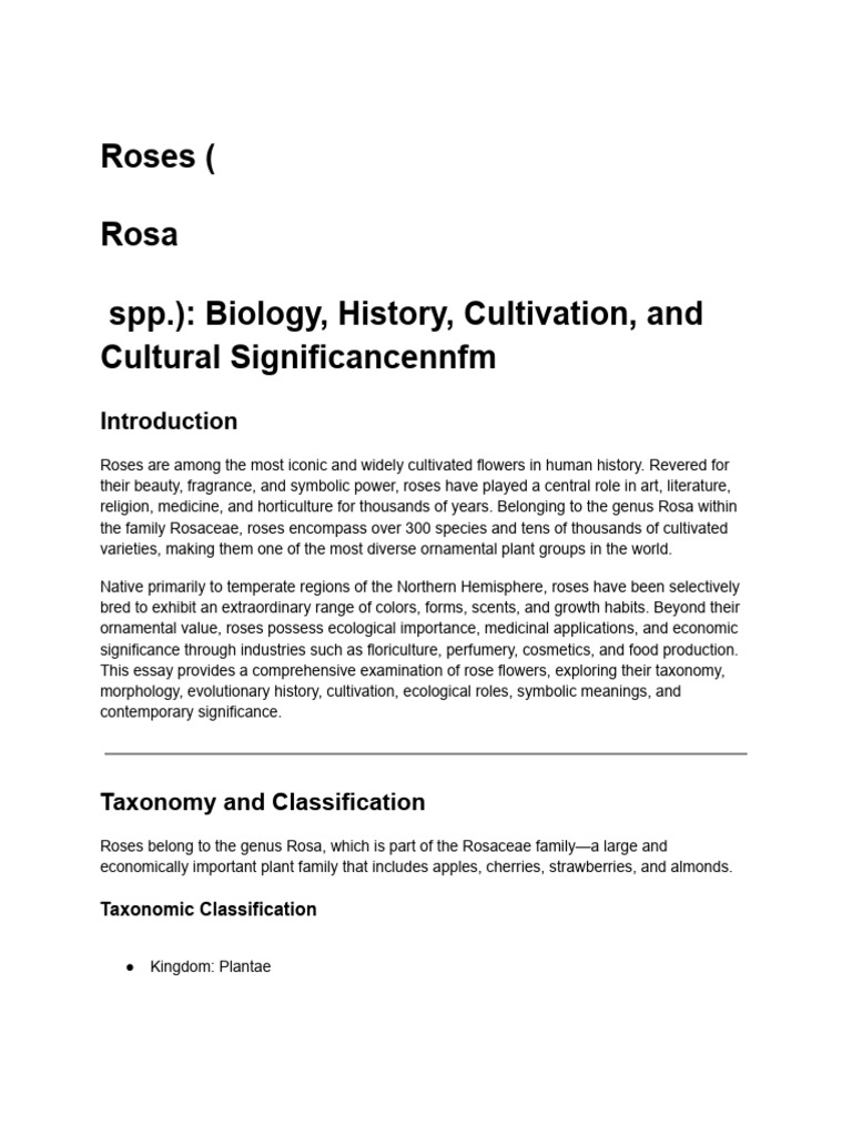 rose flower facts 2 | PDF | Botany | Plants