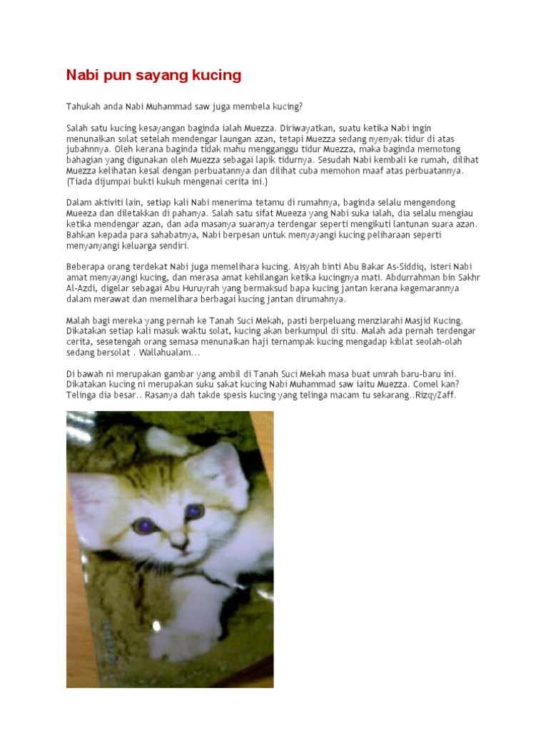 Nabi Pun Sayang Kucing Pdf