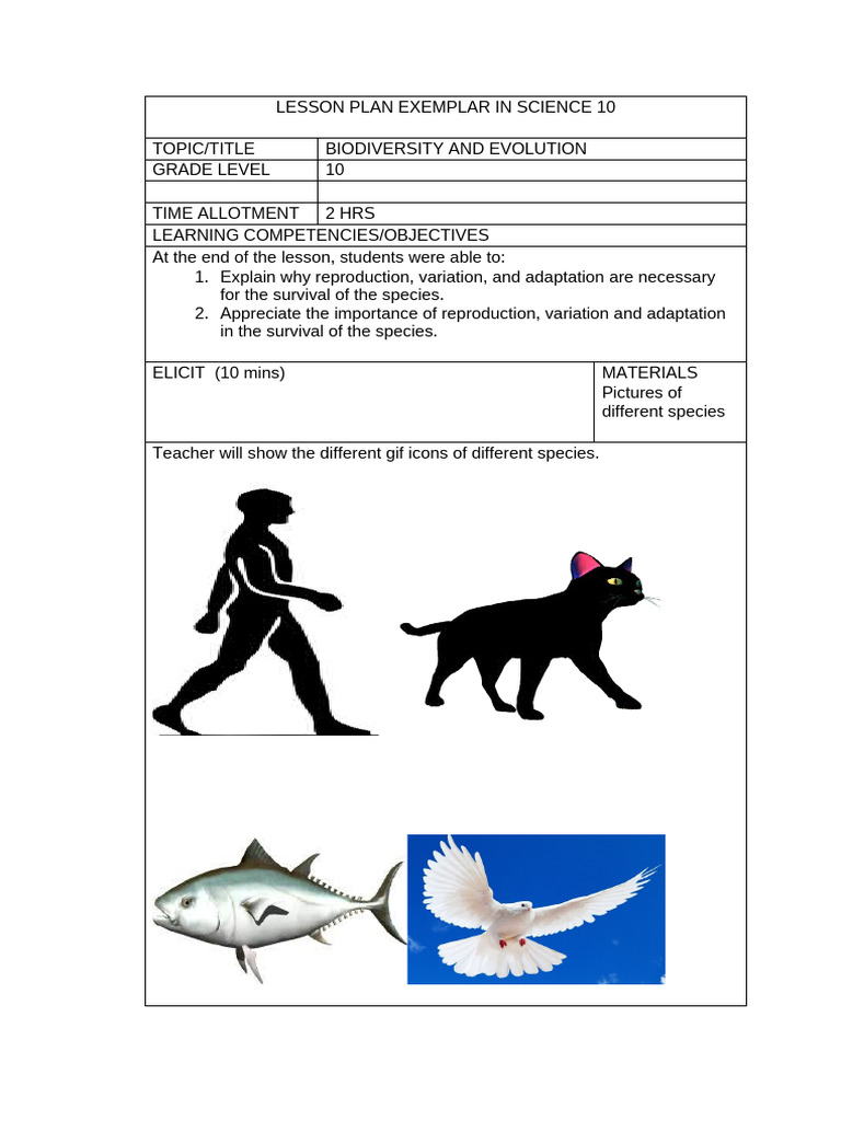 Science 10 Lesson Plan: Biodiversity & Evolution | PDF | Uterus | Biology