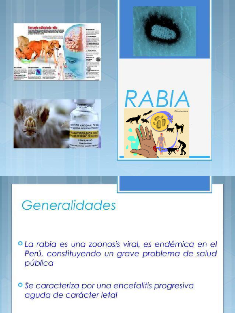 Protocolo de Vacunación Antirrábica | PDF | Rabia | Especialidades Medicas