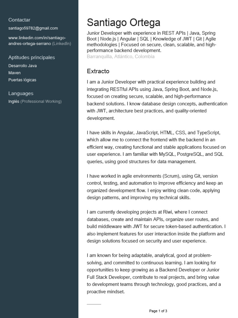 Junior Backend Developer Profile | PDF | Software Development | Databases