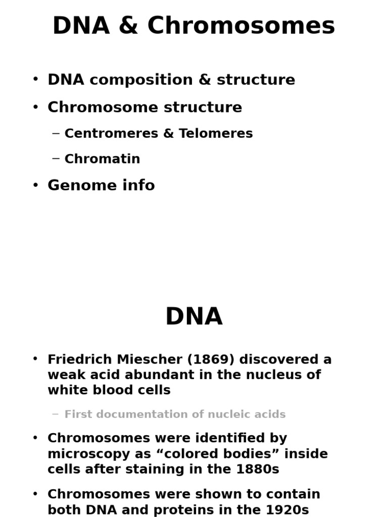 DNA Structure and Chromosome Organization | PDF | Dna | Histone