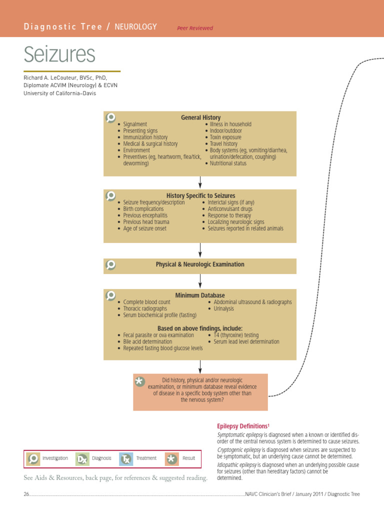 Seizure Diagnosis and Management Guide | PDF | Epilepsy | Neurology