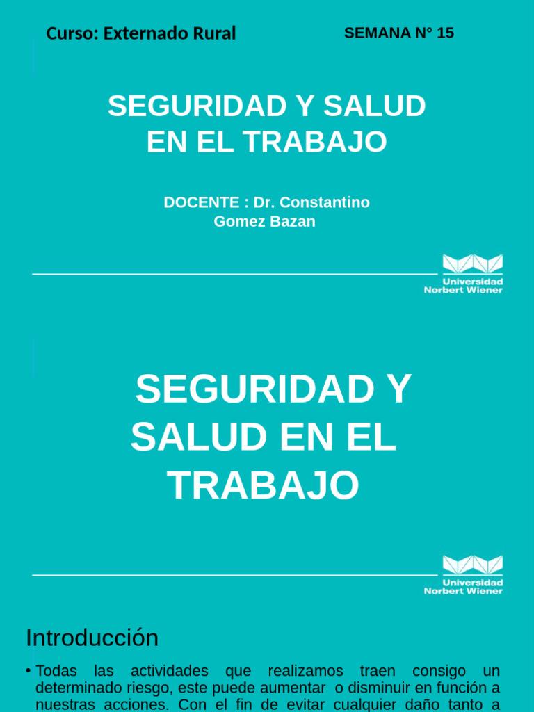 Seguridad y Salud en el trabajo en salud (1)[1] | PDF | Valores ...