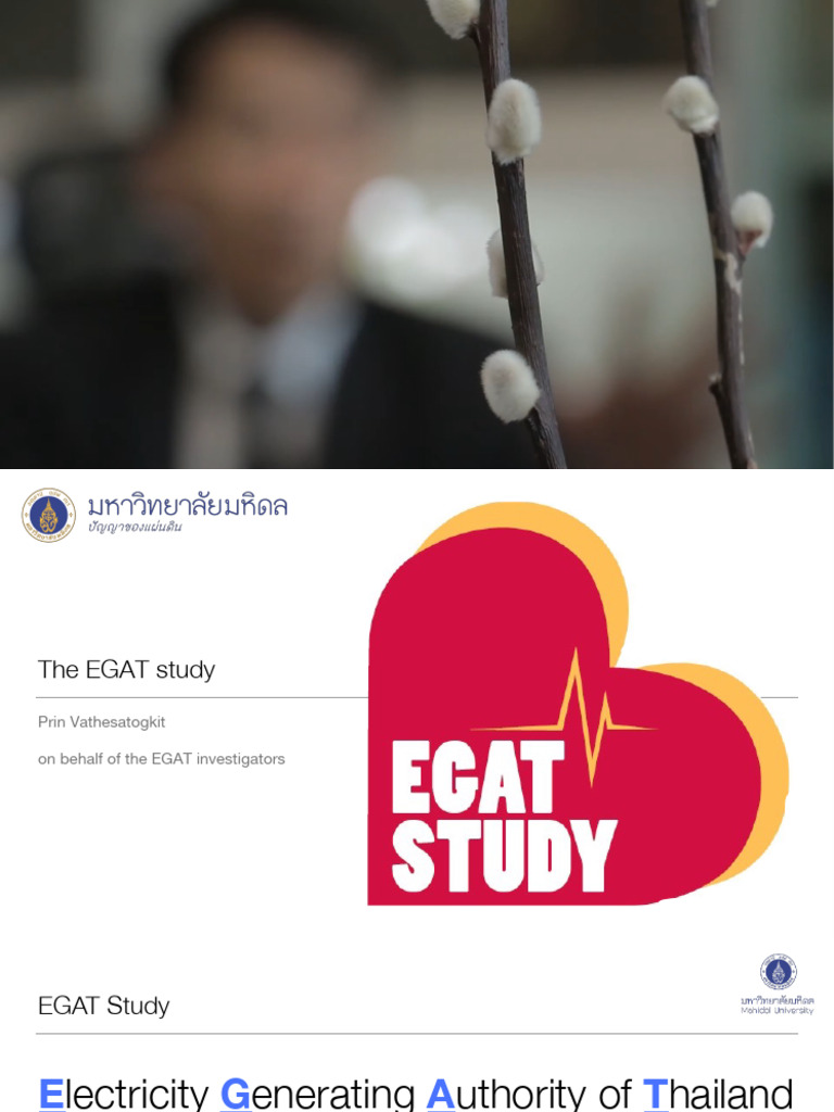 EGAT Study Dr.prin | PDF