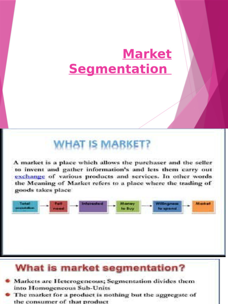 Market Segmentation | PDF