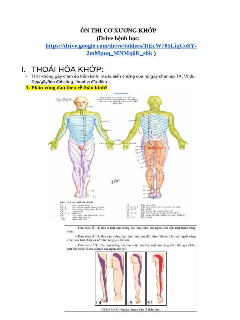 Câu Hỏi Anh Toàn - CXK K43 11 - 2022 | PDF
