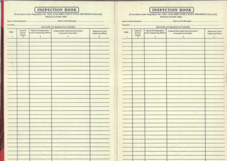 Esic Inspection Book | PDF