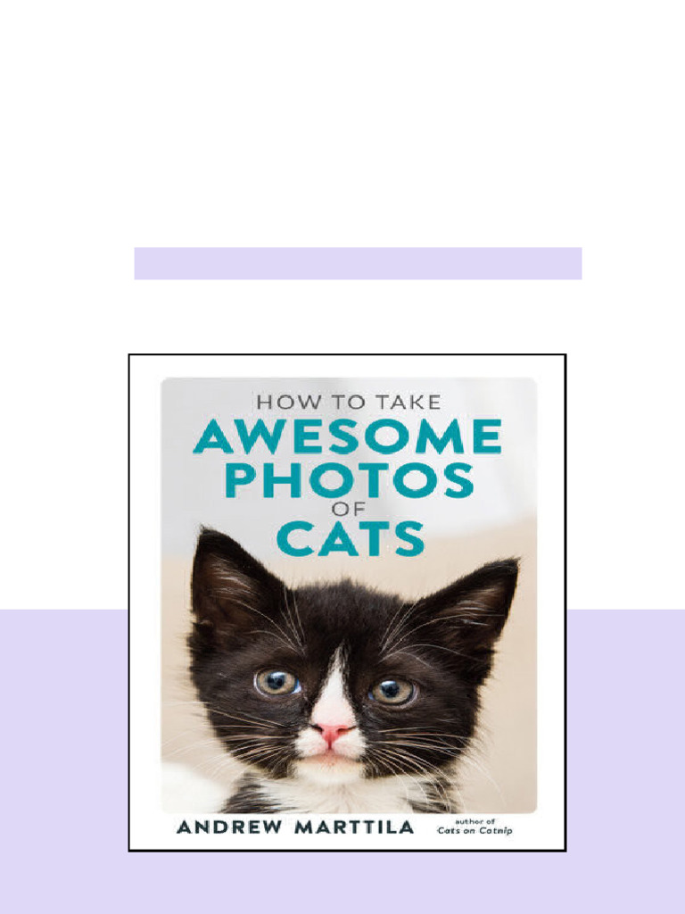 How To Take Awesome Photos Of Cats Illustrated Andrew Marttila Kindle ...