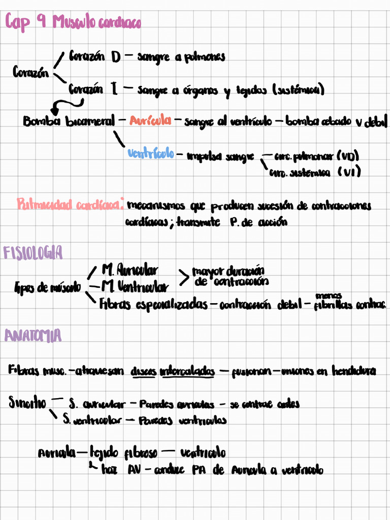 Repaso Examen 1 | PDF
