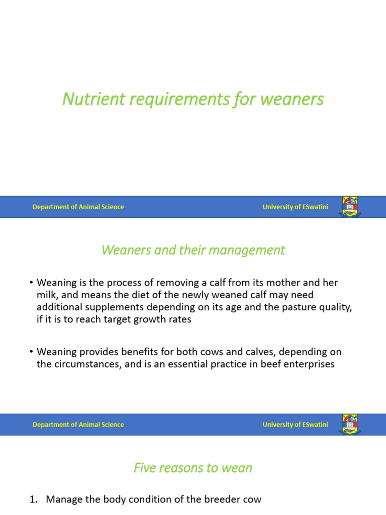 Weaner Nutrition and Management Guide | PDF | Weaning | Cattle