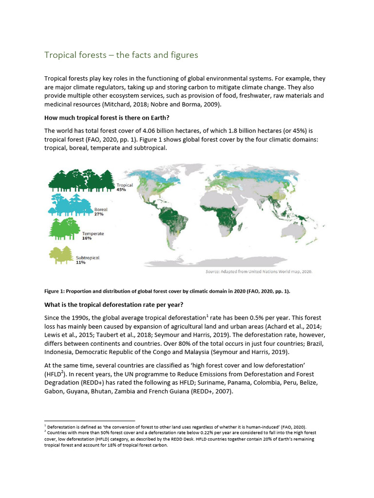 Tropical Forests – the Facts and Figures | PDF | Forests | Deforestation