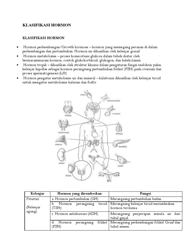 Klasifikasi dan Fungsi Hormon Endokrin | PDF | Sains & Matematika