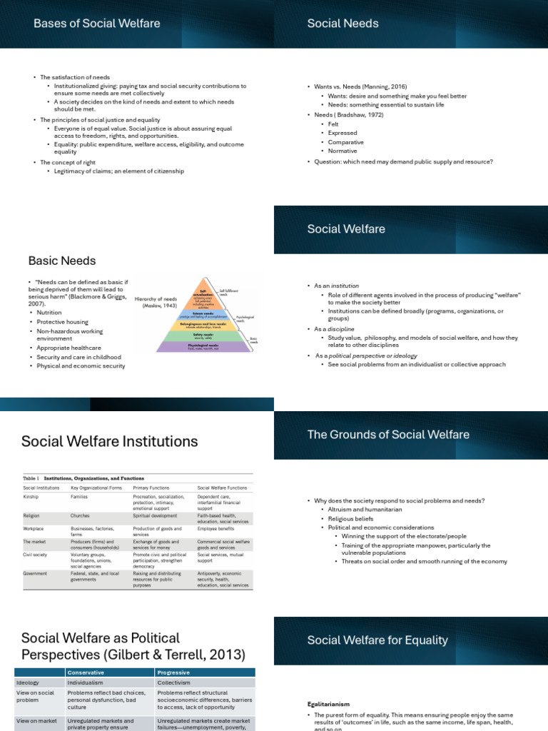 Foundations of Social Welfare Principles | PDF | Social Equality | Policy