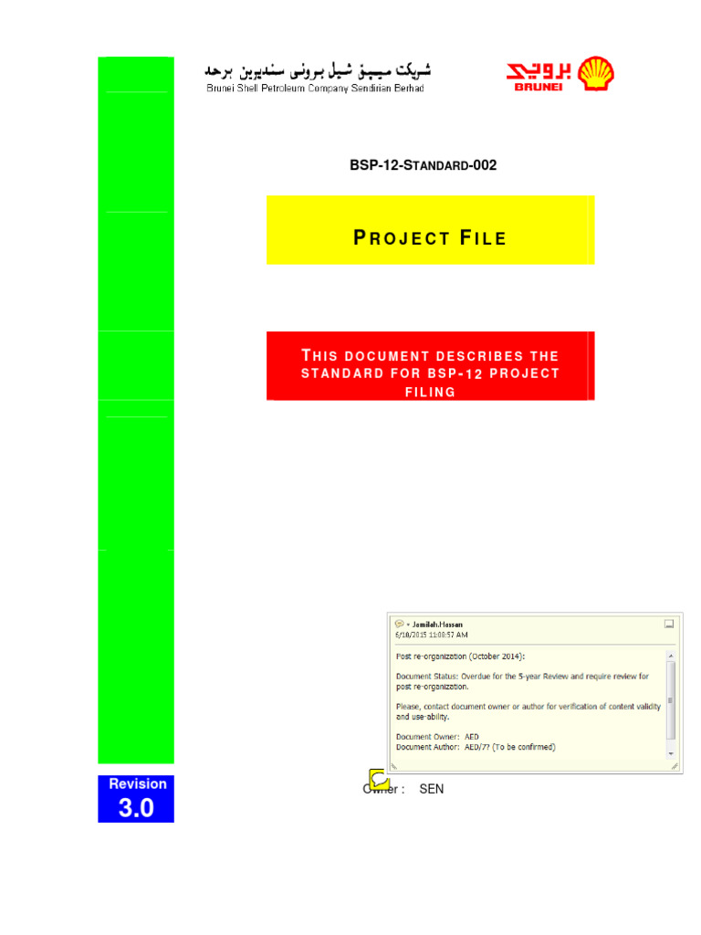 BSP-12 Project Filing Standard Guide | PDF