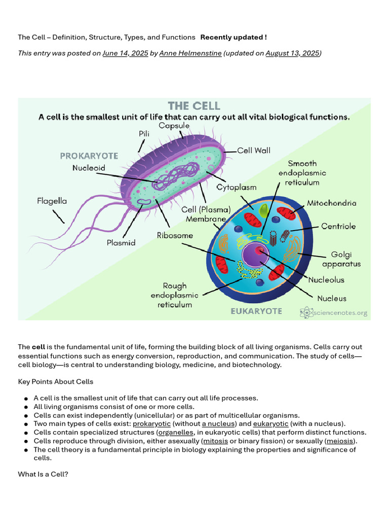 Understanding Cell Structure and Functions | PDF | Cell (Biology ...
