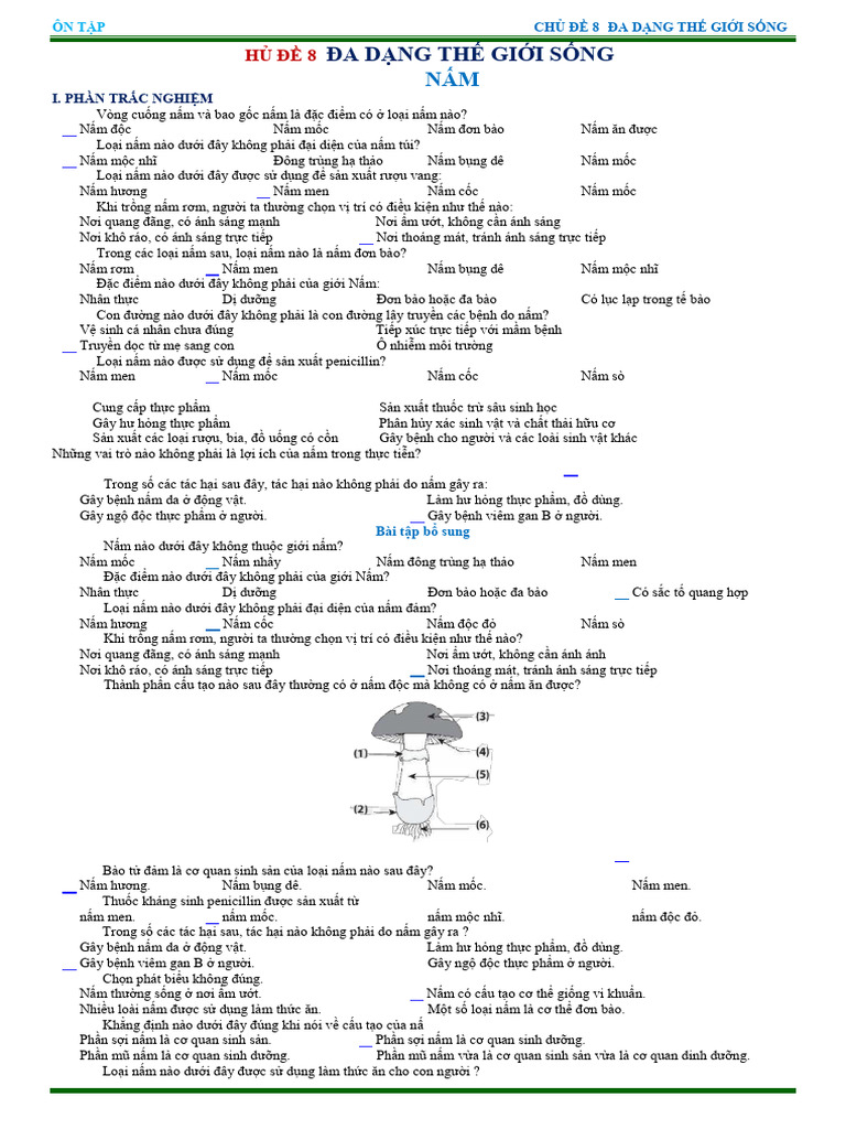 Khtn Hk2 Grade 6 Cd8 Pbc Middle School Da | PDF