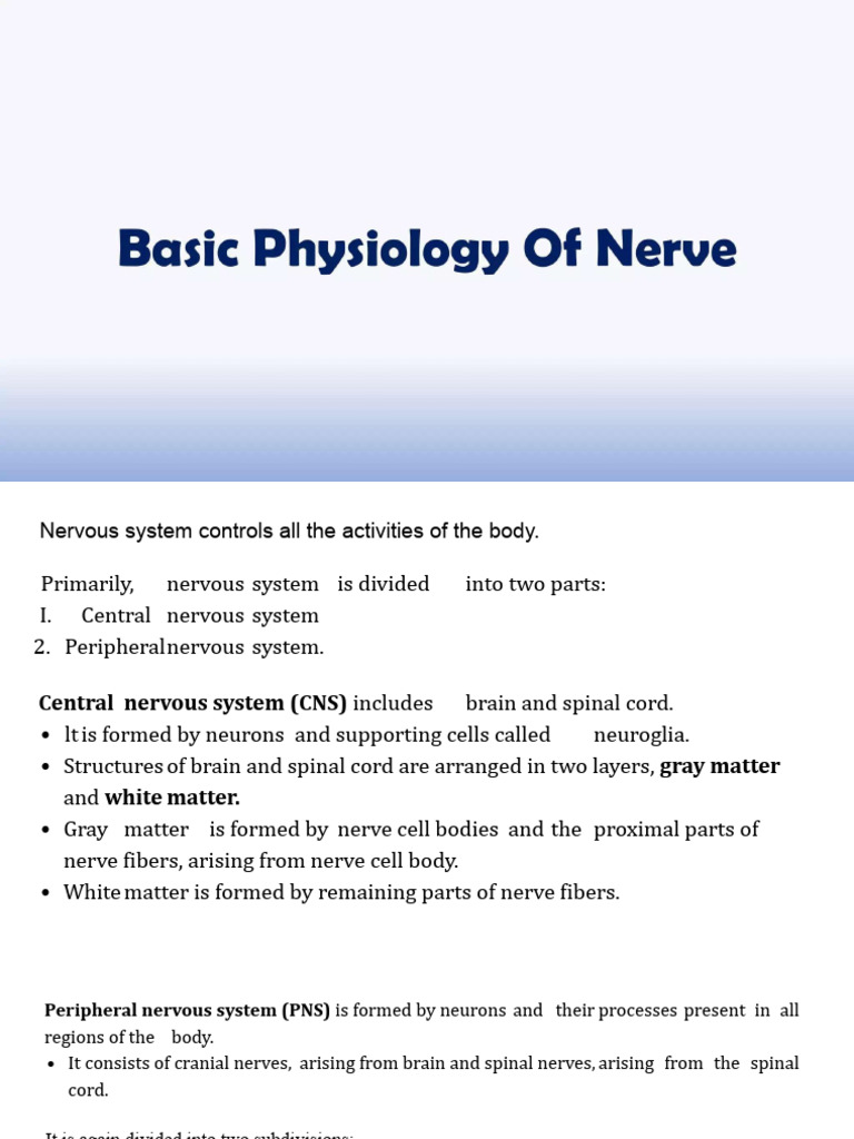 Overview of the Nervous System Functions | PDF