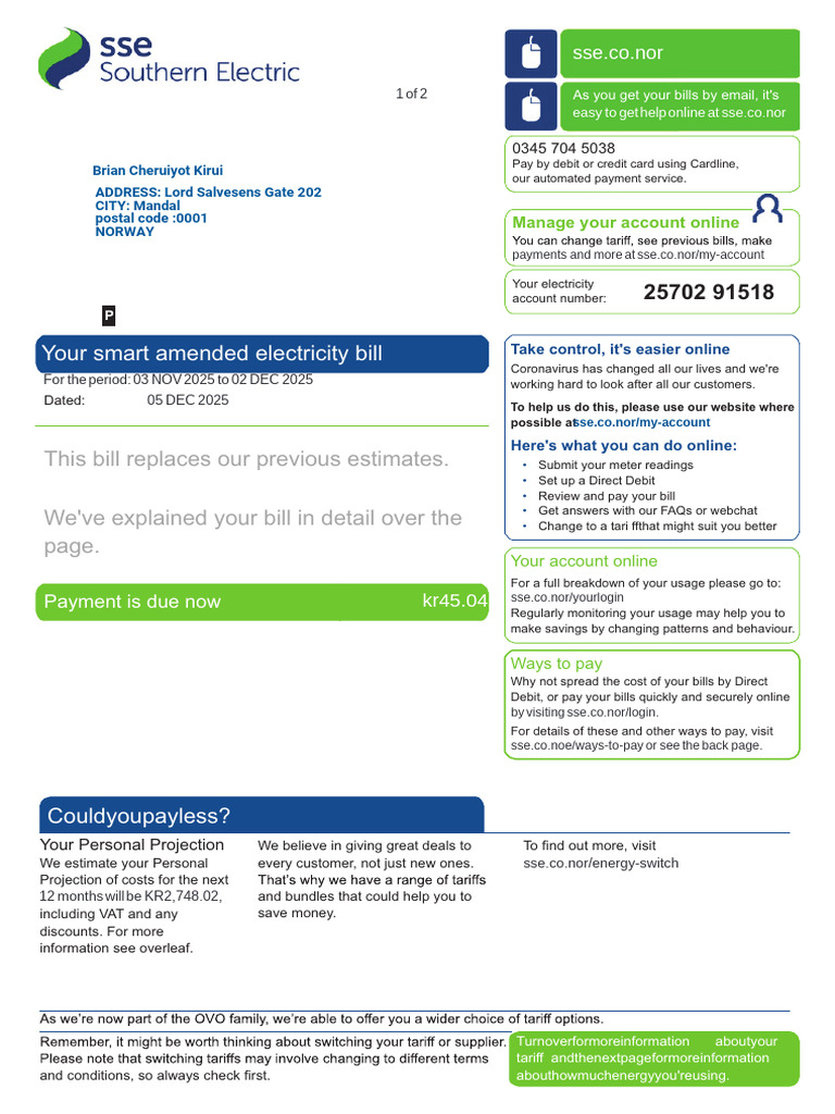 Smart Electricity Bill Summary 2025 | PDF | Fee | Payments