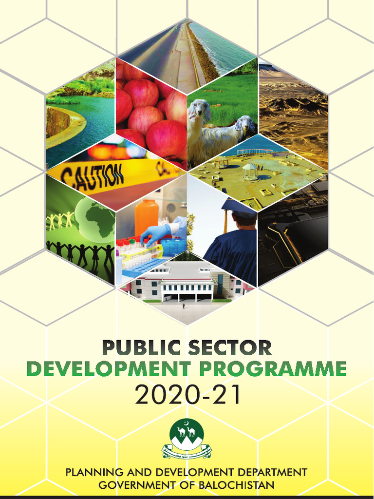 PSDP-2020-21 | PDF | Economies