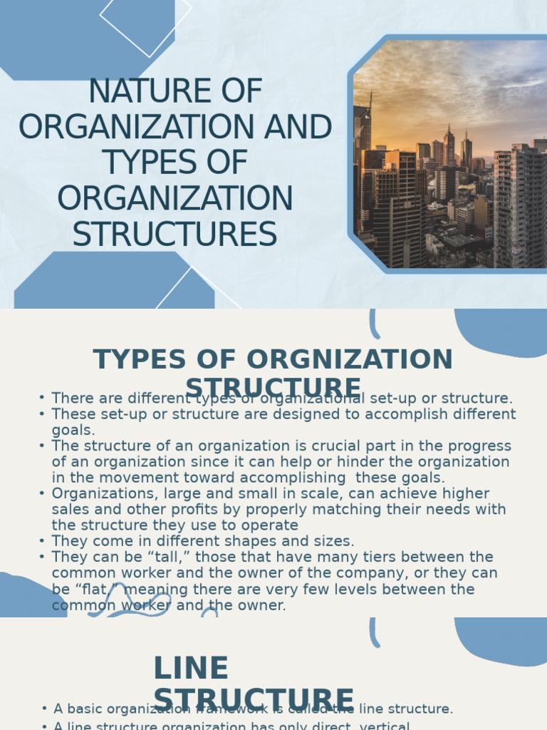 Types of Organizational Structures Explained | PDF | Organizational ...