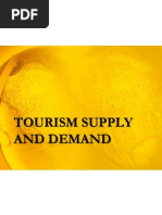 Tourism Supply and Demand B