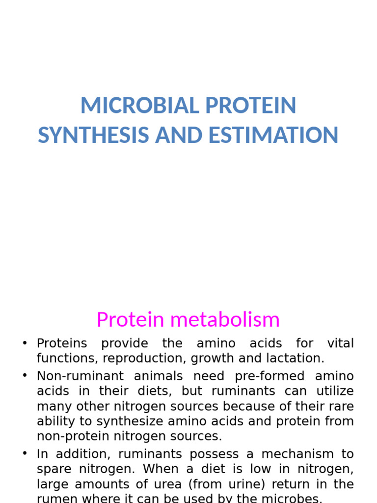 Microbial Protein Synthesis in Ruminants | PDF | Milk | Biology