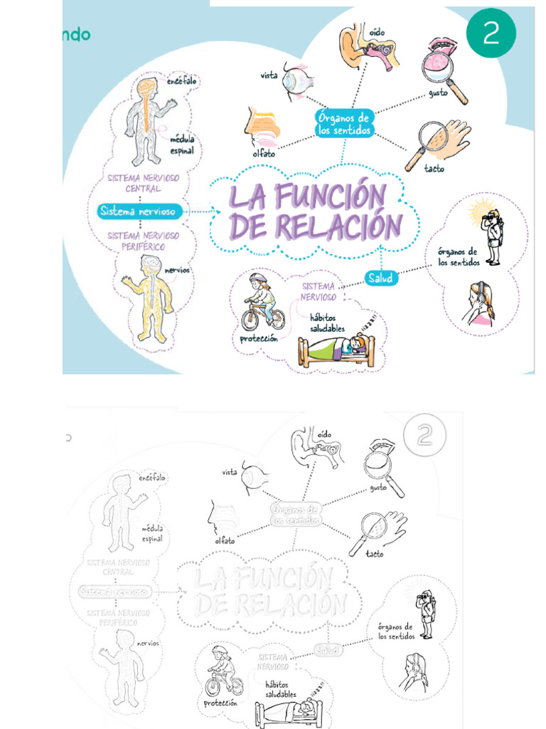 Esquema Tema 2 | PDF