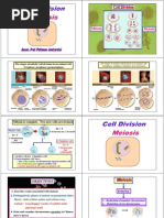 Meiosis