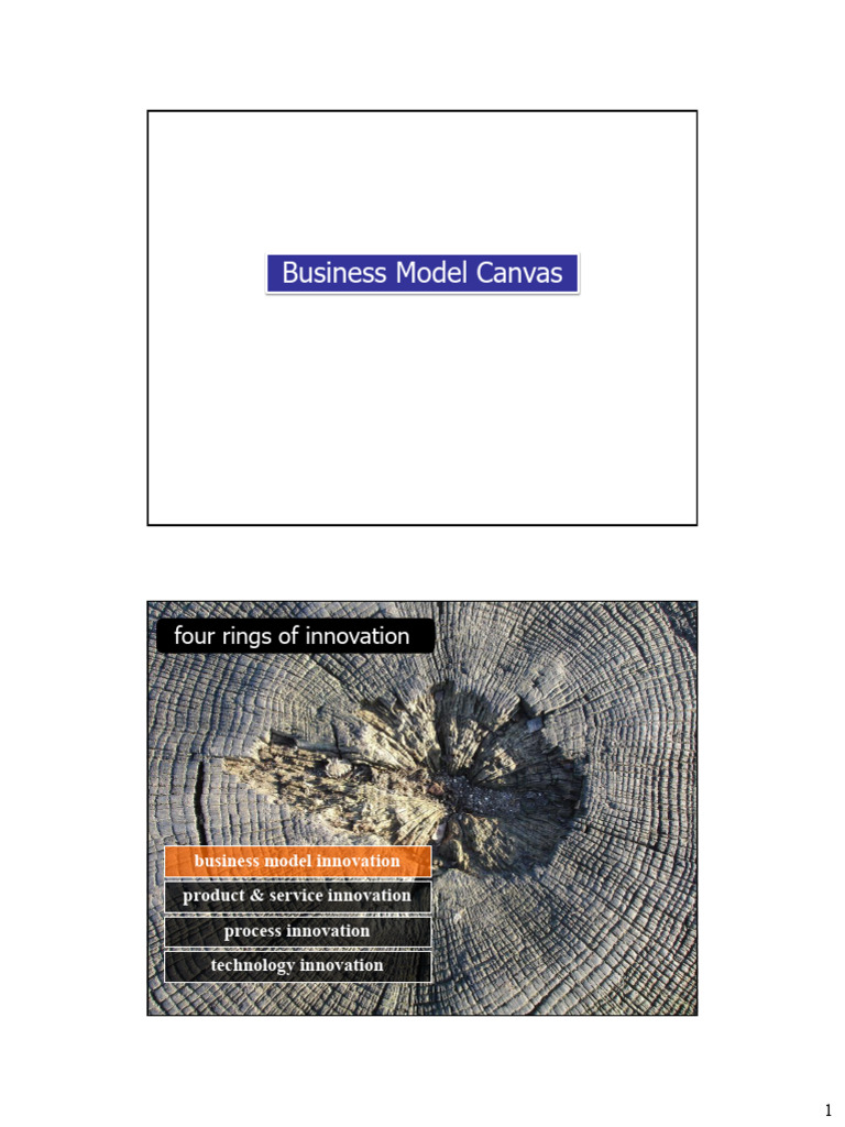 Business Model Innovation Strategies | PDF | Vehicles | Motor Vehicle