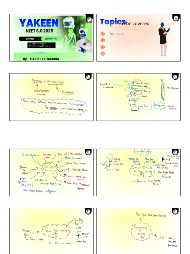 Morphology of Flowering Plants 01 Class Notes Yakeen NEET 6.0 2025 ...