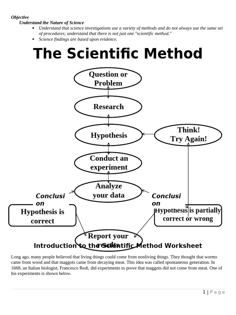 Understanding the Scientific Method | PDF | Experiment | Science