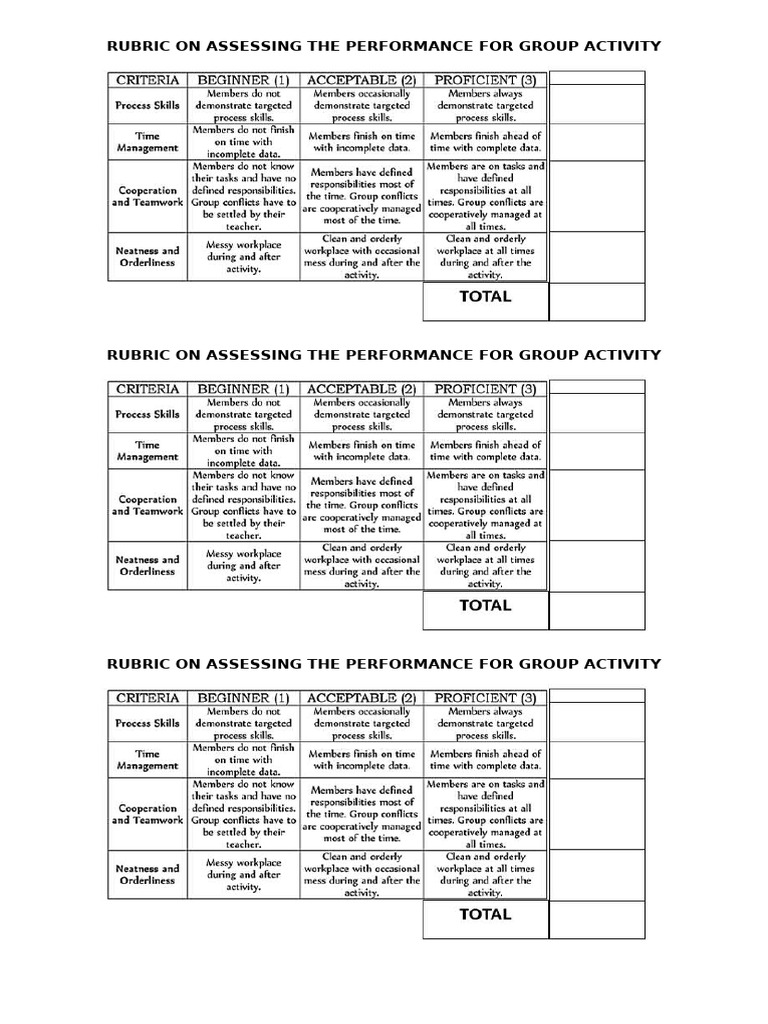 Rubric On Assessing The Performance For Group Activity | PDF