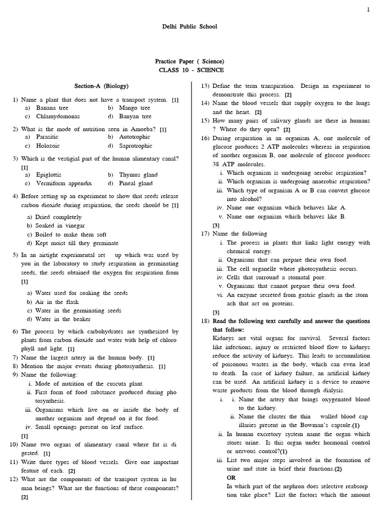 Science Practice Paper | PDF | Chemistry