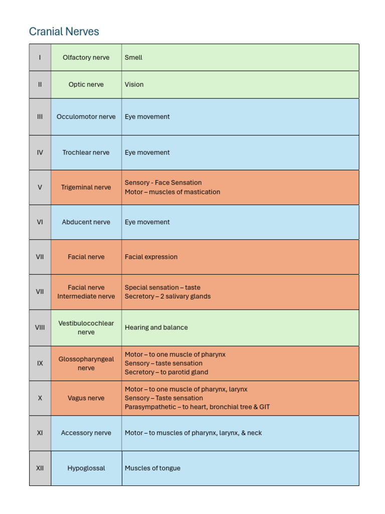 Overview of Cranial Nerves Functions | PDF